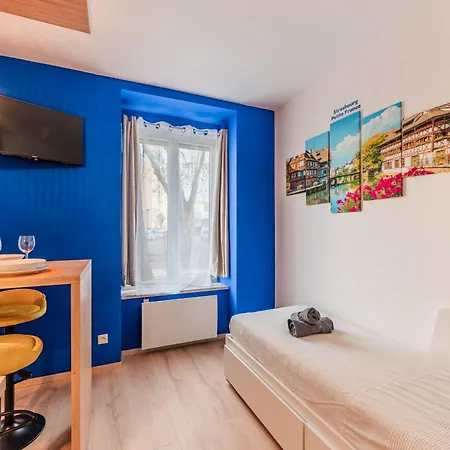 Apartment - Gare - Petite France - Commerces A Proximite *